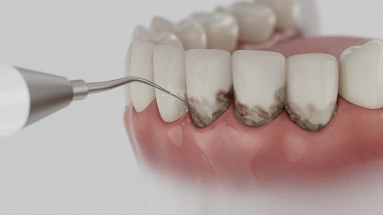 Reliable Dental contractor in Lake Magdalene, FL by Dentist Open Now