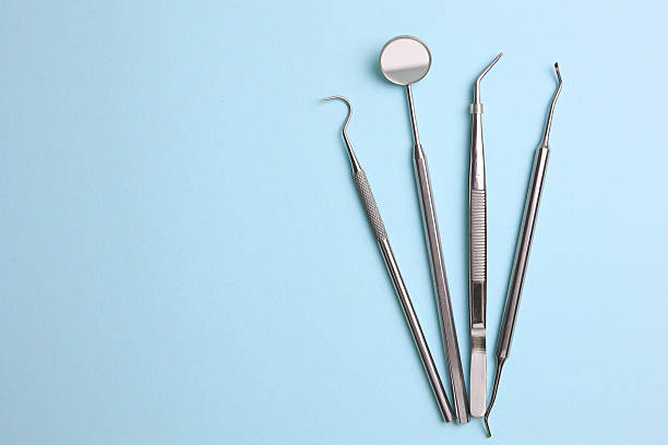Top rated local Dental specialists in Lake Magdalene, FL